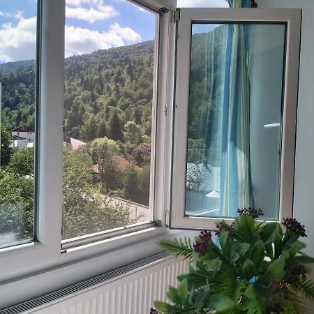Apartment Valea Azugii أَزوغا المظهر الخارجي الصورة
