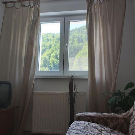 Apartment Valea Azugii أَزوغا المظهر الخارجي الصورة
