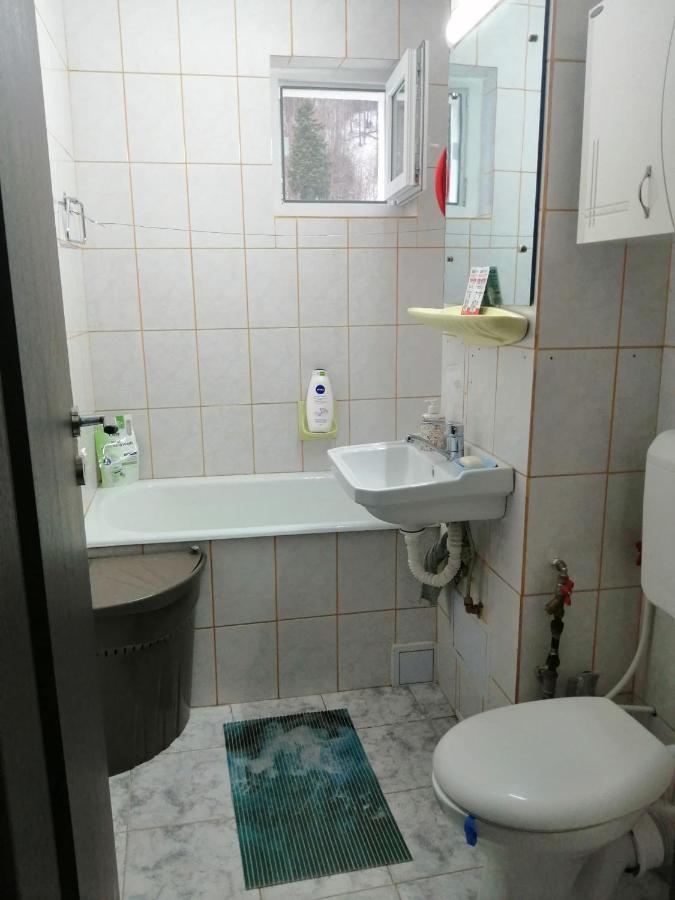 Apartment Valea Azugii أَزوغا المظهر الخارجي الصورة