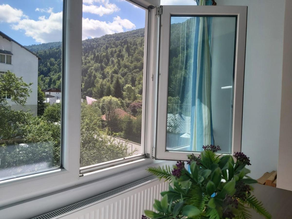 Apartment Valea Azugii أَزوغا المظهر الخارجي الصورة