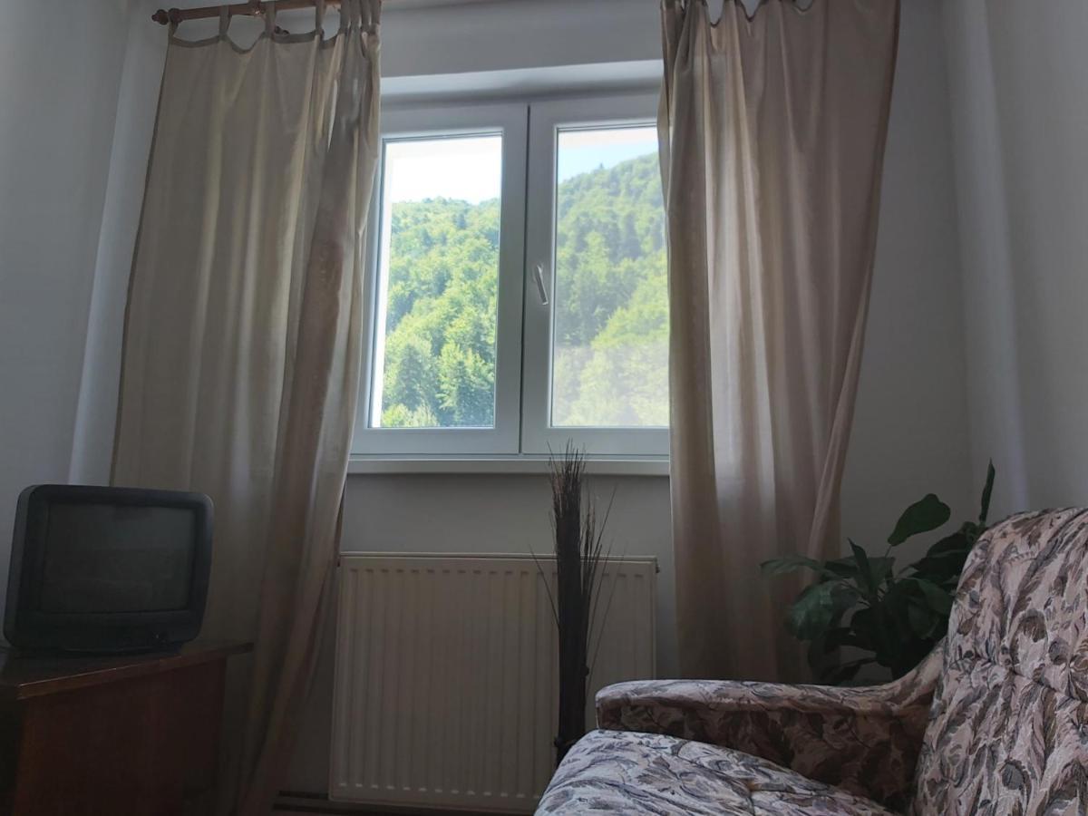 Apartment Valea Azugii أَزوغا المظهر الخارجي الصورة